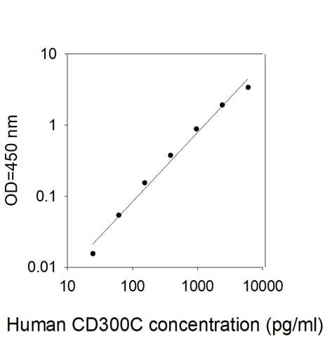 Standard Curve