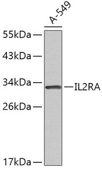 Western blot