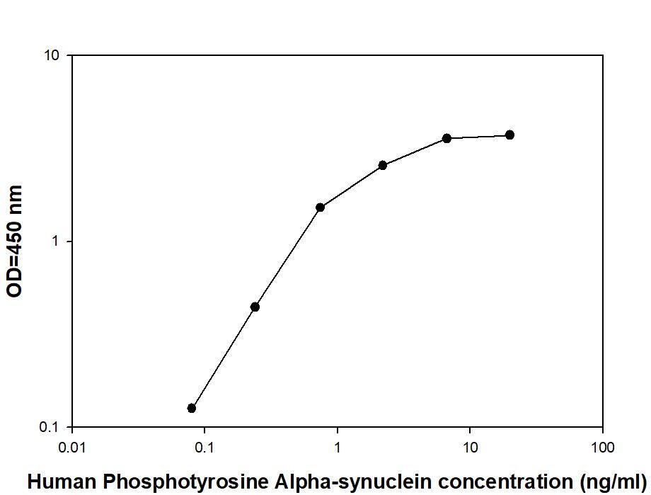 Alpha-synuclein - Positive Control