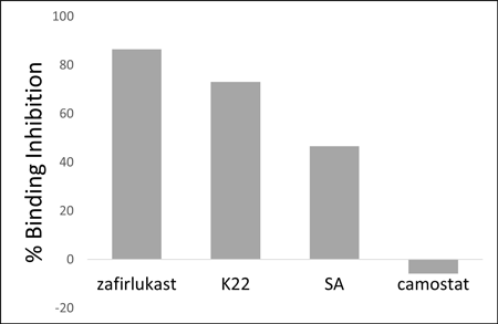 Inhibition of Spike-ACE2 by anti-viral compounds