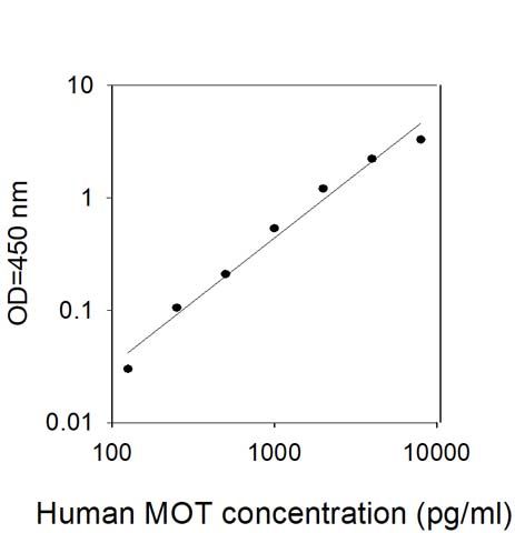 Standard Curve