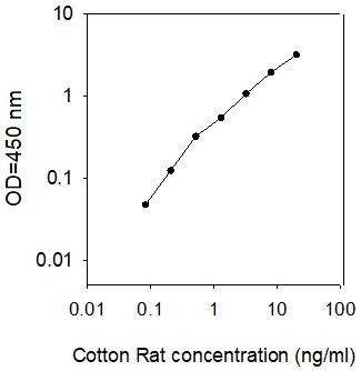 Standard Curve