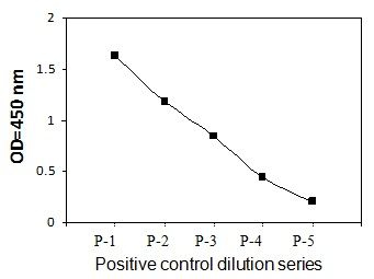 PEL-BTK-Y Positive Control