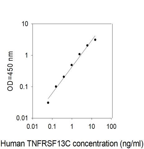 Standard Curve