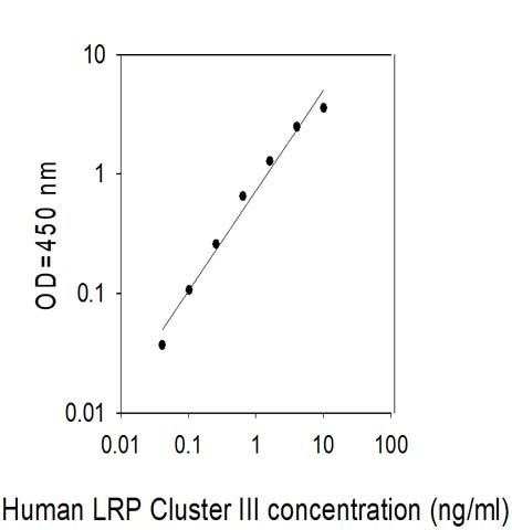Standard Curve
