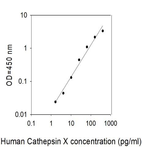 Standard Curve