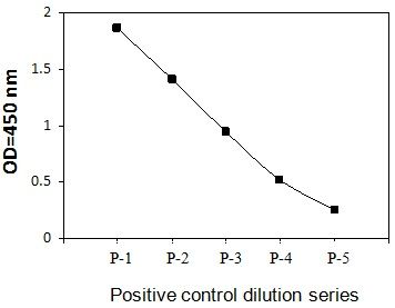 PEL-EphB2-Y Positive Control