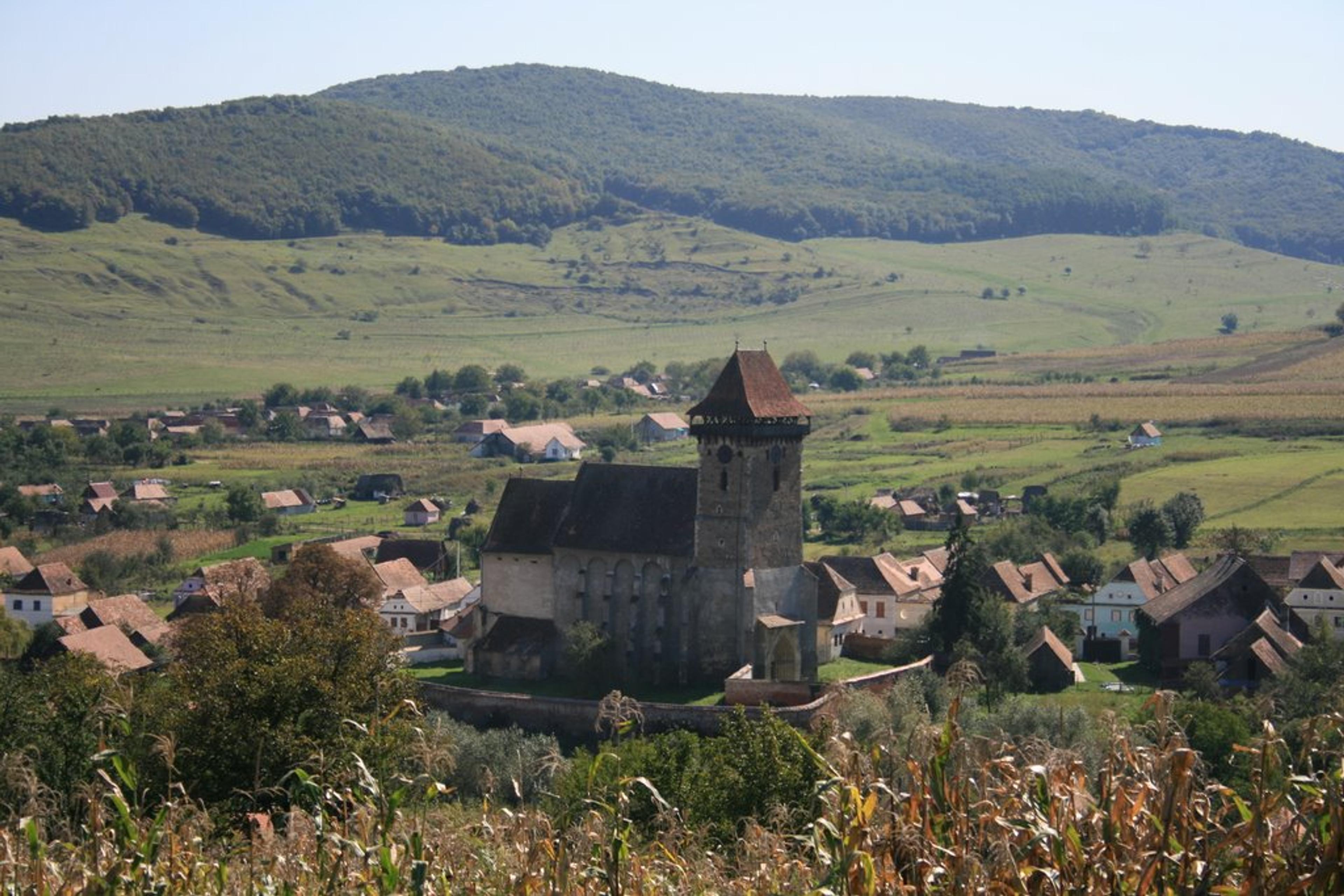 Bagaciu