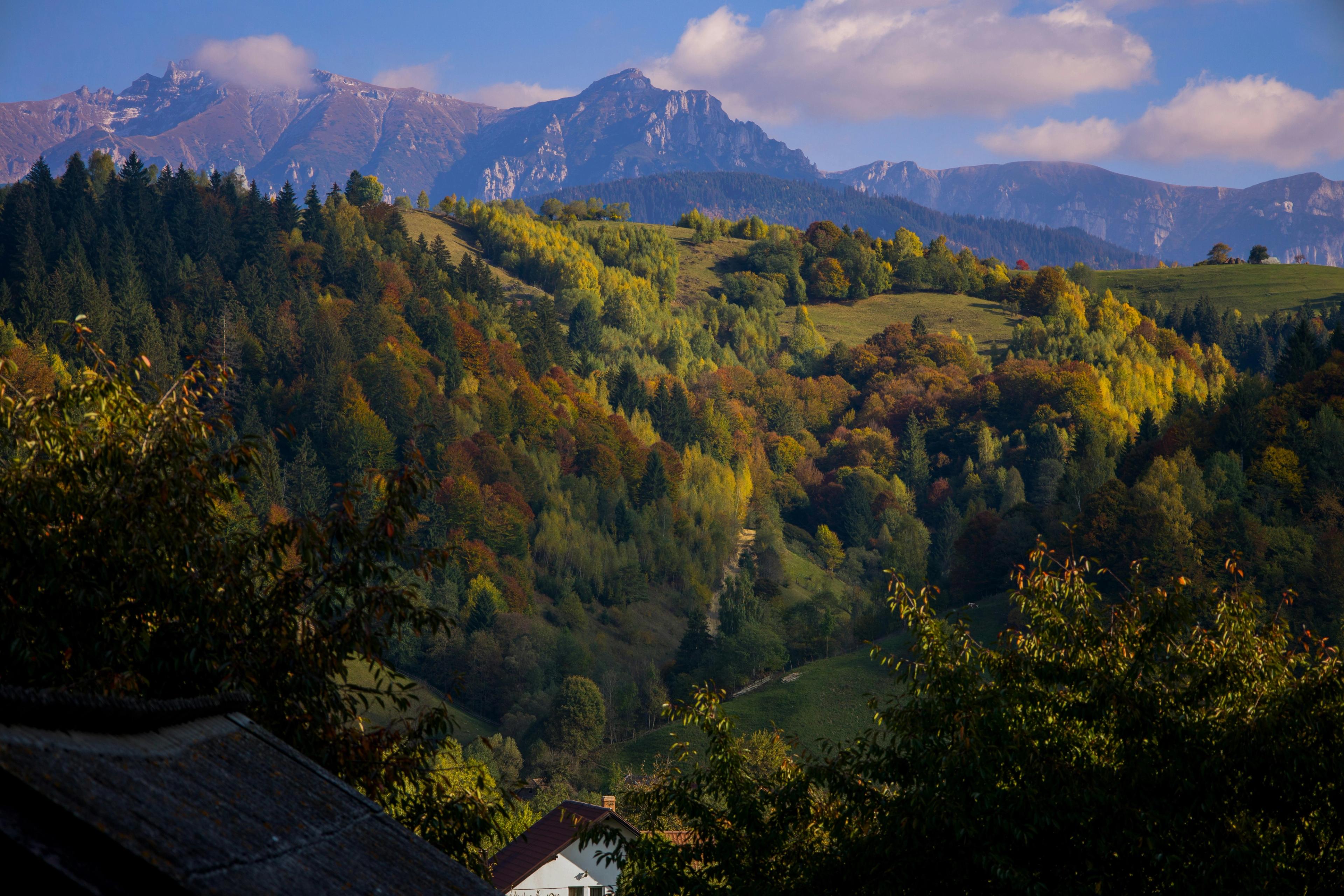 Vacanță și relaxare în natură