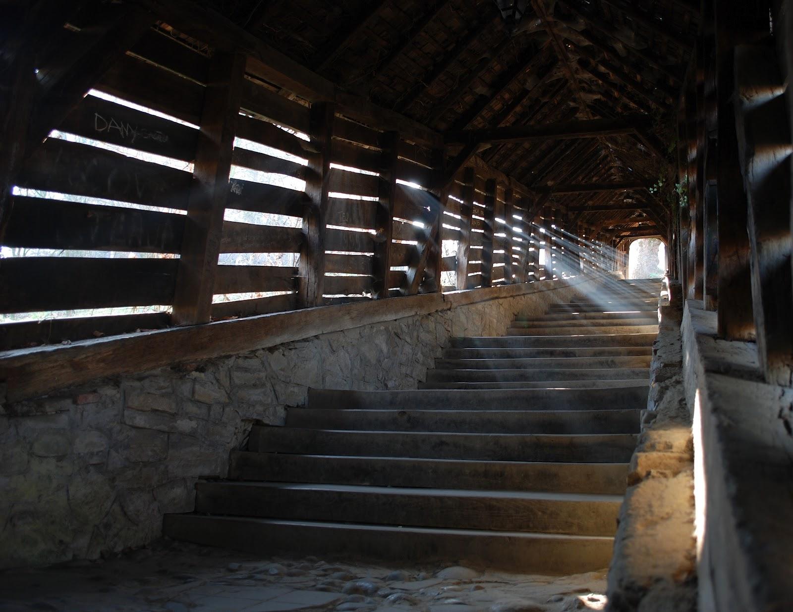 Scara Scolarilor din Sighisoara