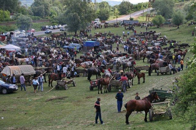 Targul de animale de la Alma - Dumbraveni, unul dintre cele mai mari din tara