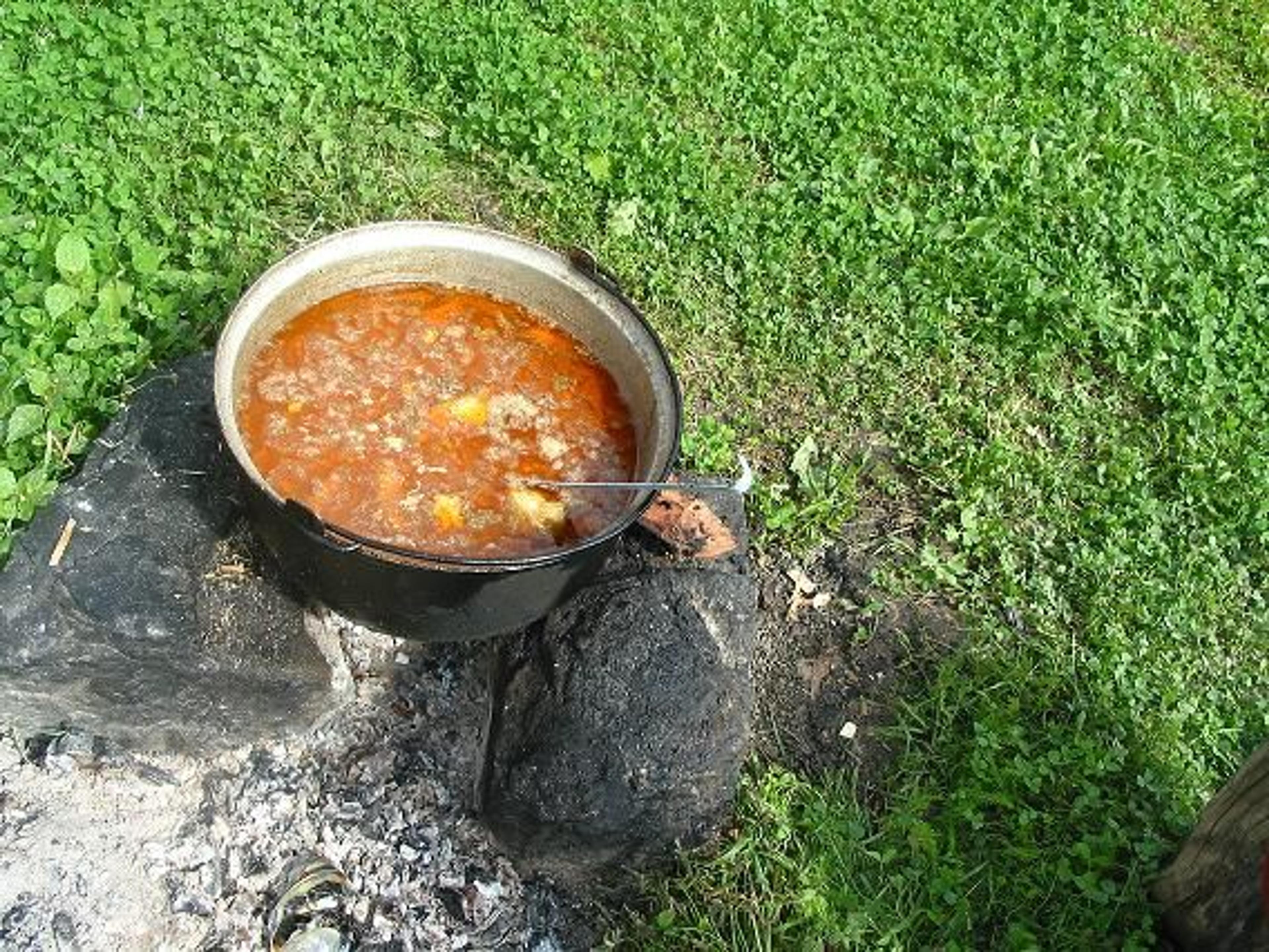 Festivalul Gulasului si Palincii la Covaci