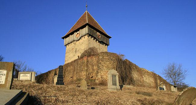 Rodbav