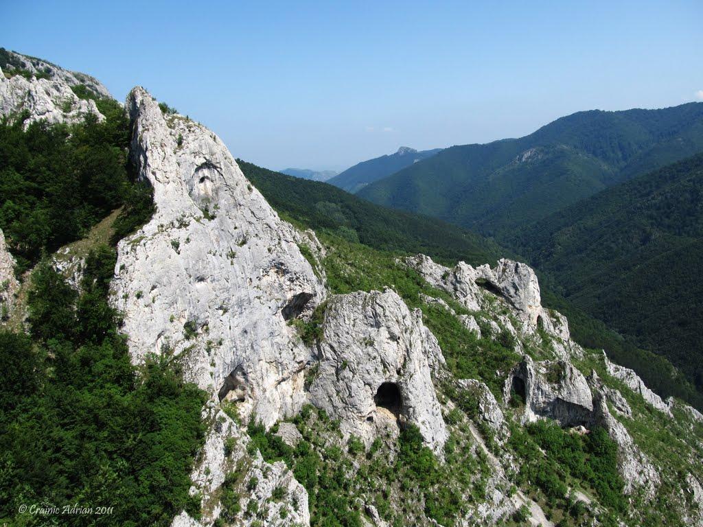 Întregalde