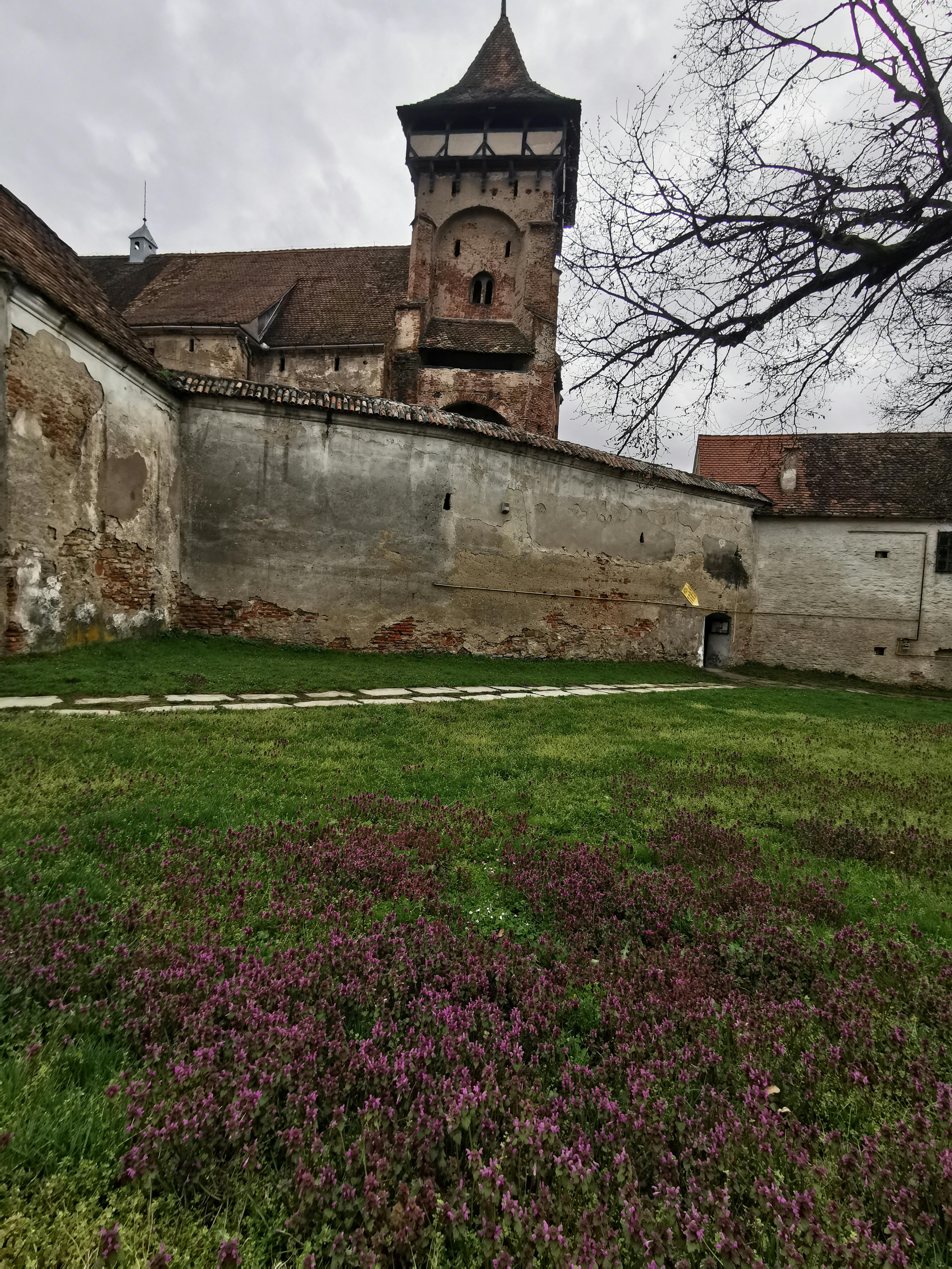 Vechea Casa Parohială - Image 7