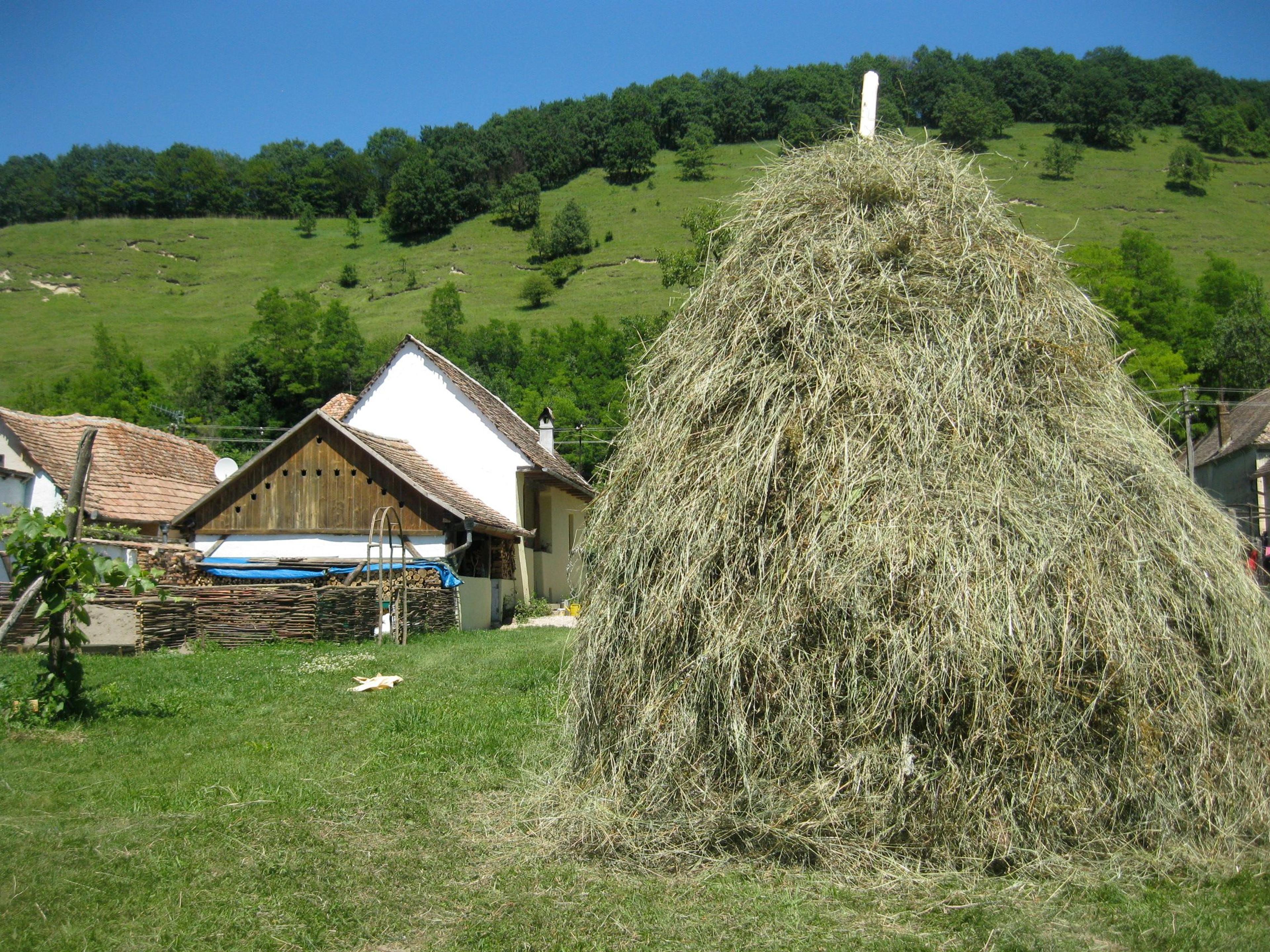 Casa in Natura - Vacanta la tara in Transilvania