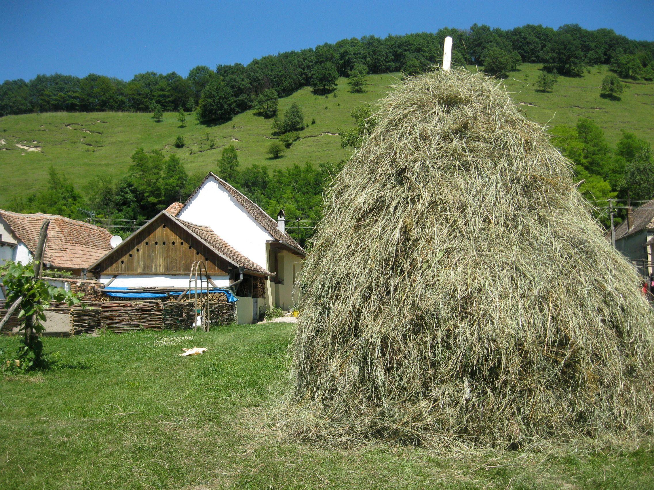 Casa in Natura - Vacanta la tara in Transilvania