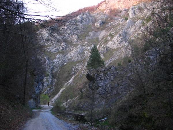 Cheile Caprei