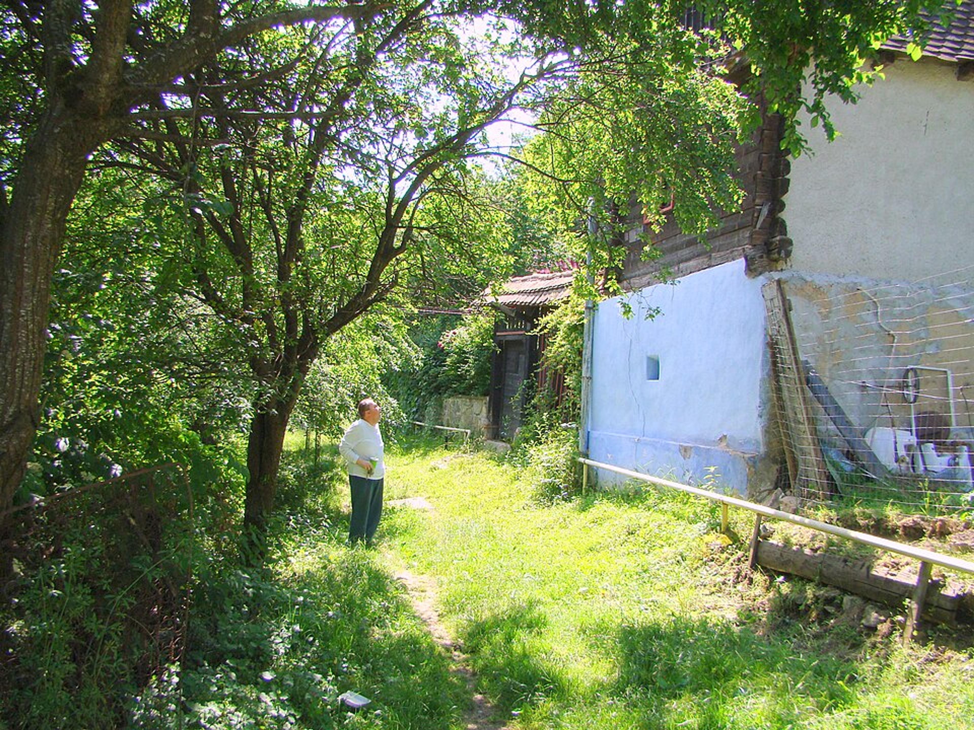 Sibiel - sat tradițional cu case monument