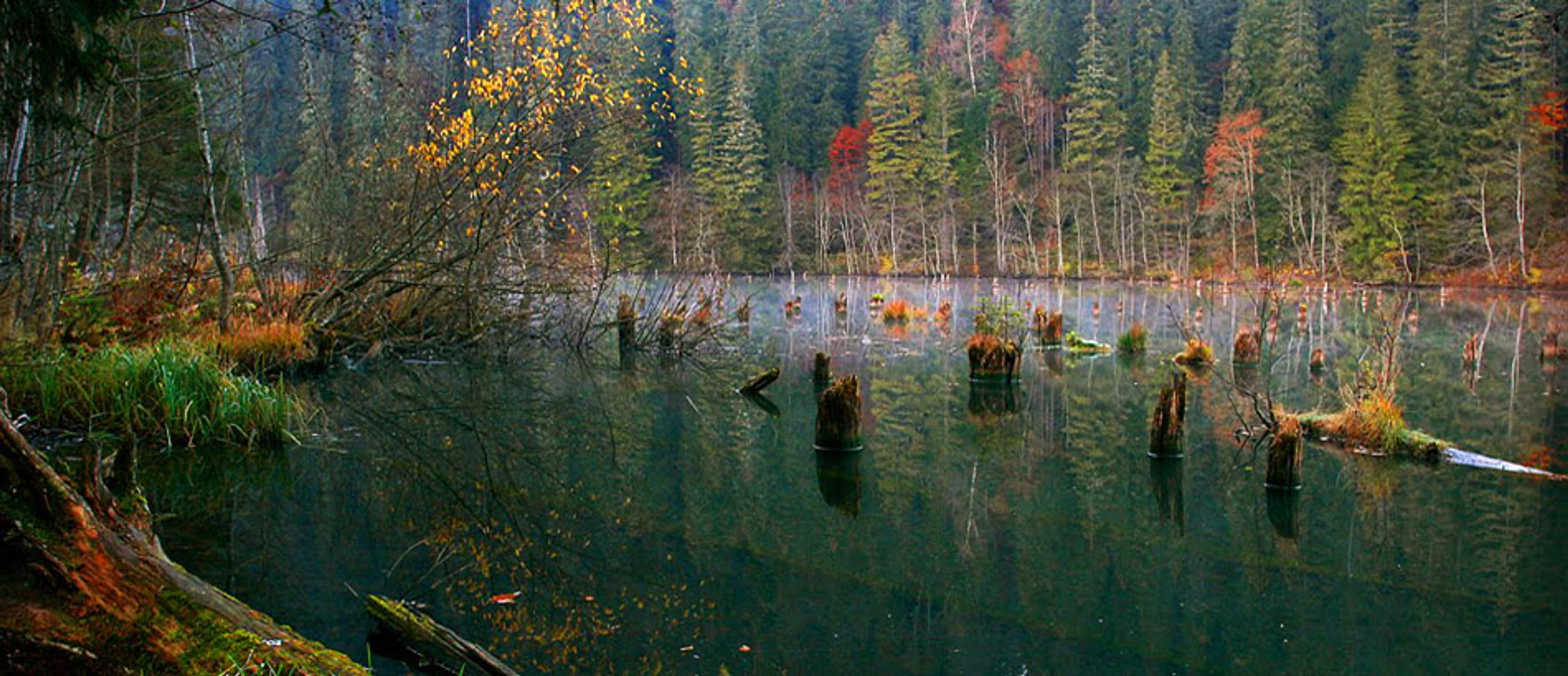Lacul Roșu