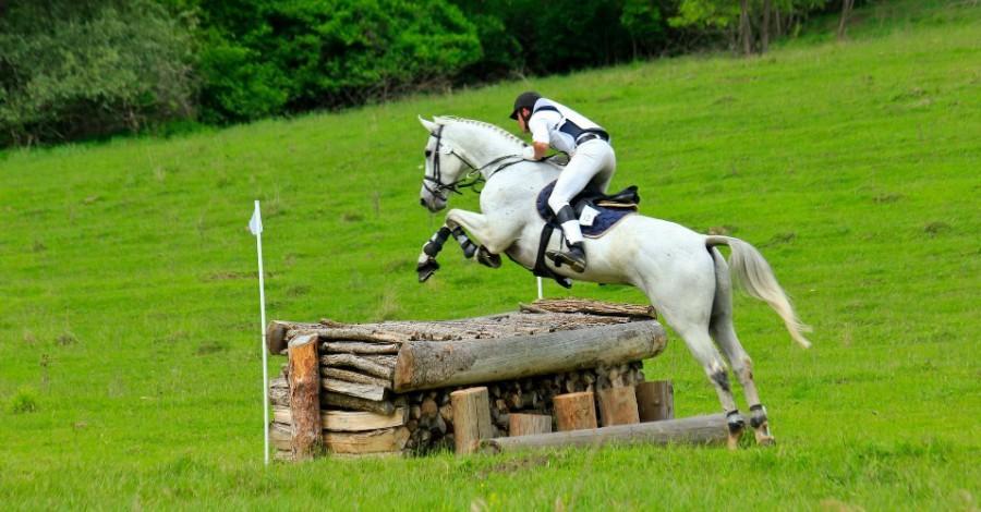 Transylvania Horse Show