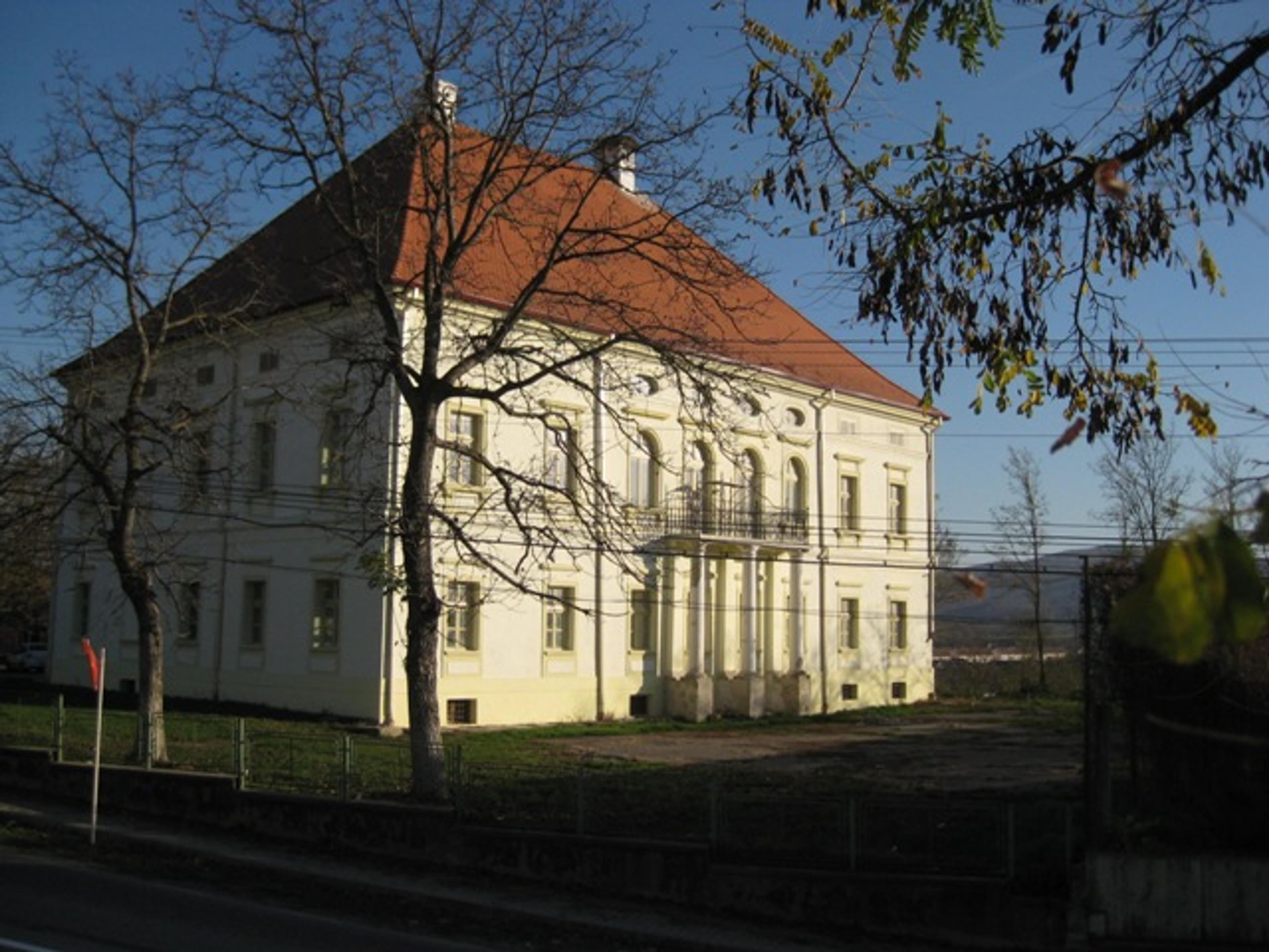 Istoria castelului Rhédey din Sângeorgiu de Pădure