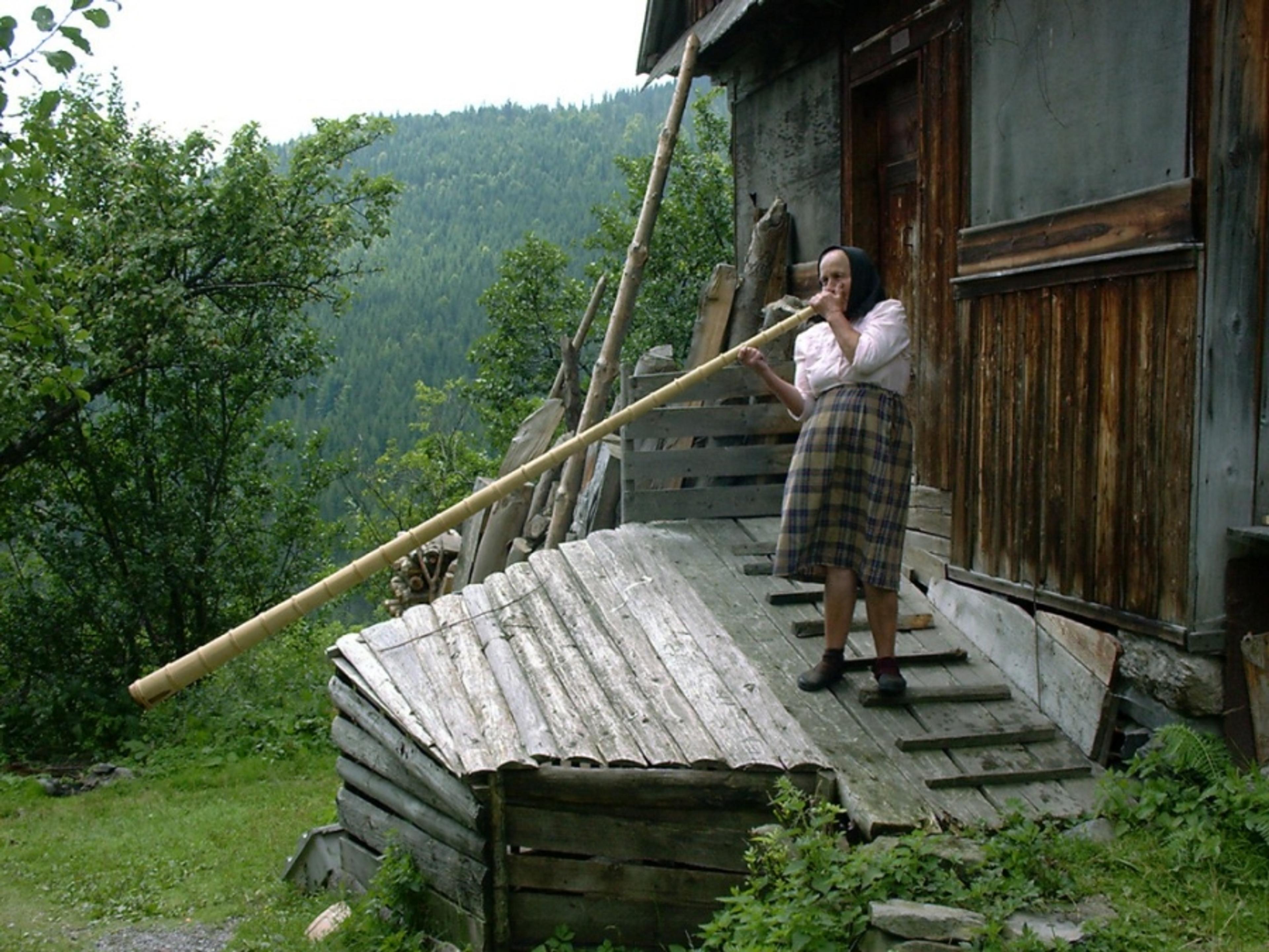 Placinte motesti cu afine de la tanti Domnica și sunetul tulnicilor