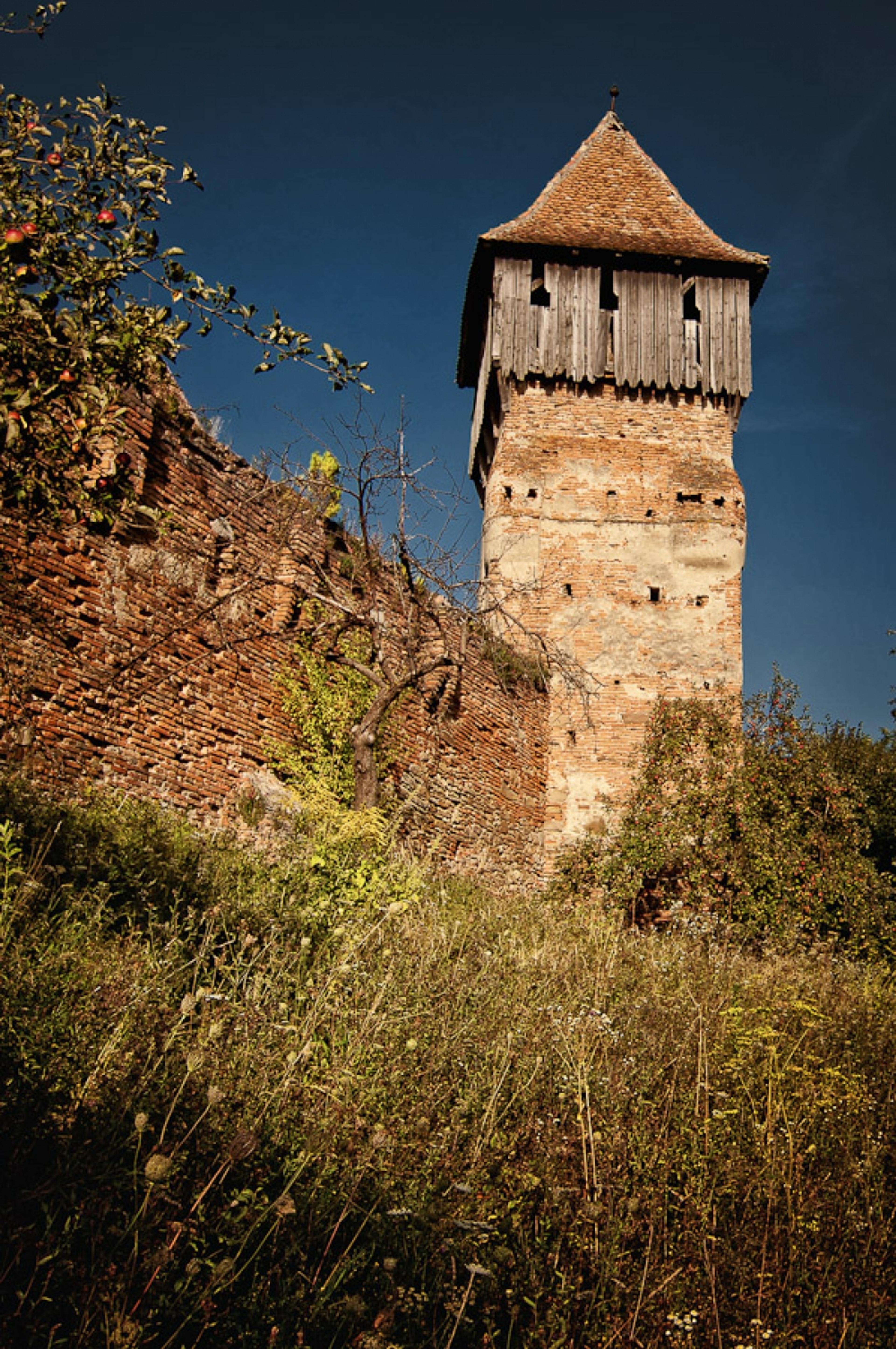Alma Vii, satul de sine statator
