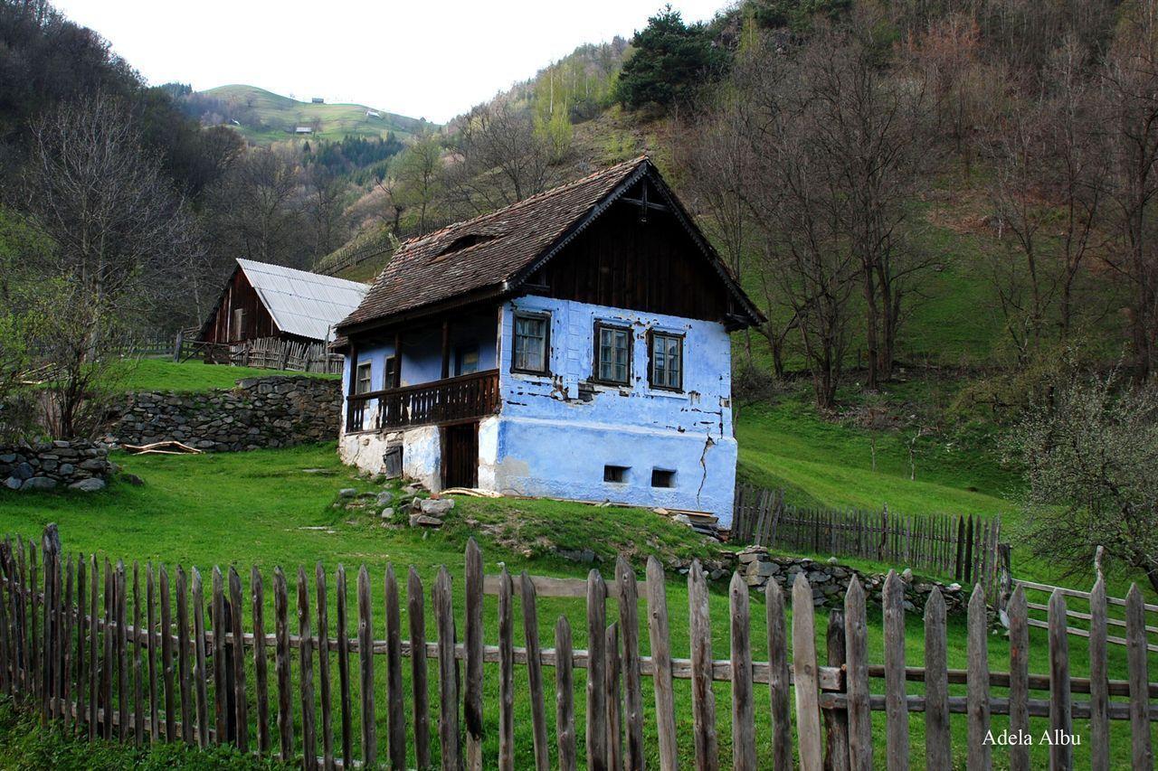 Râu Sadului