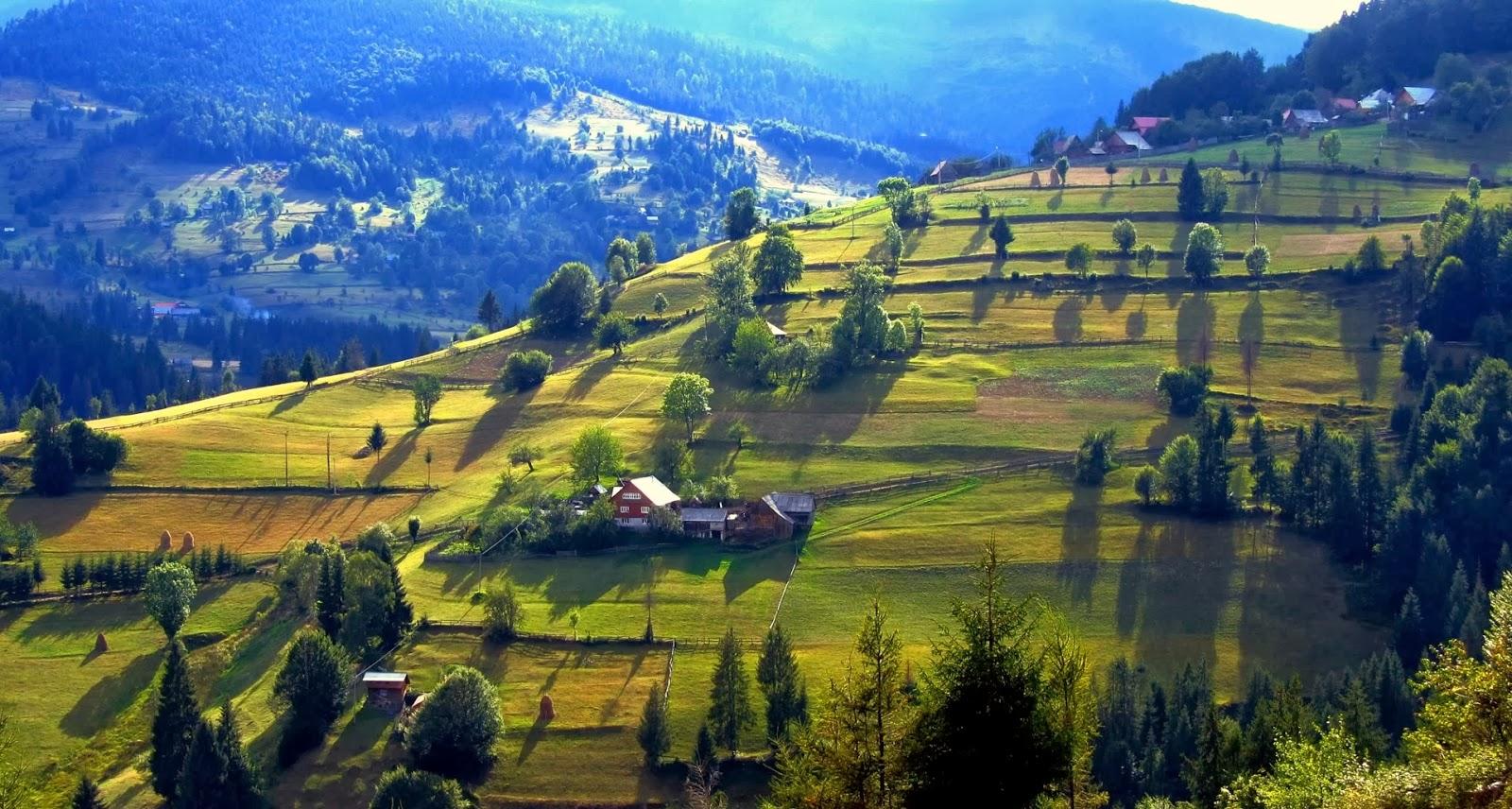 Munții Apuseni