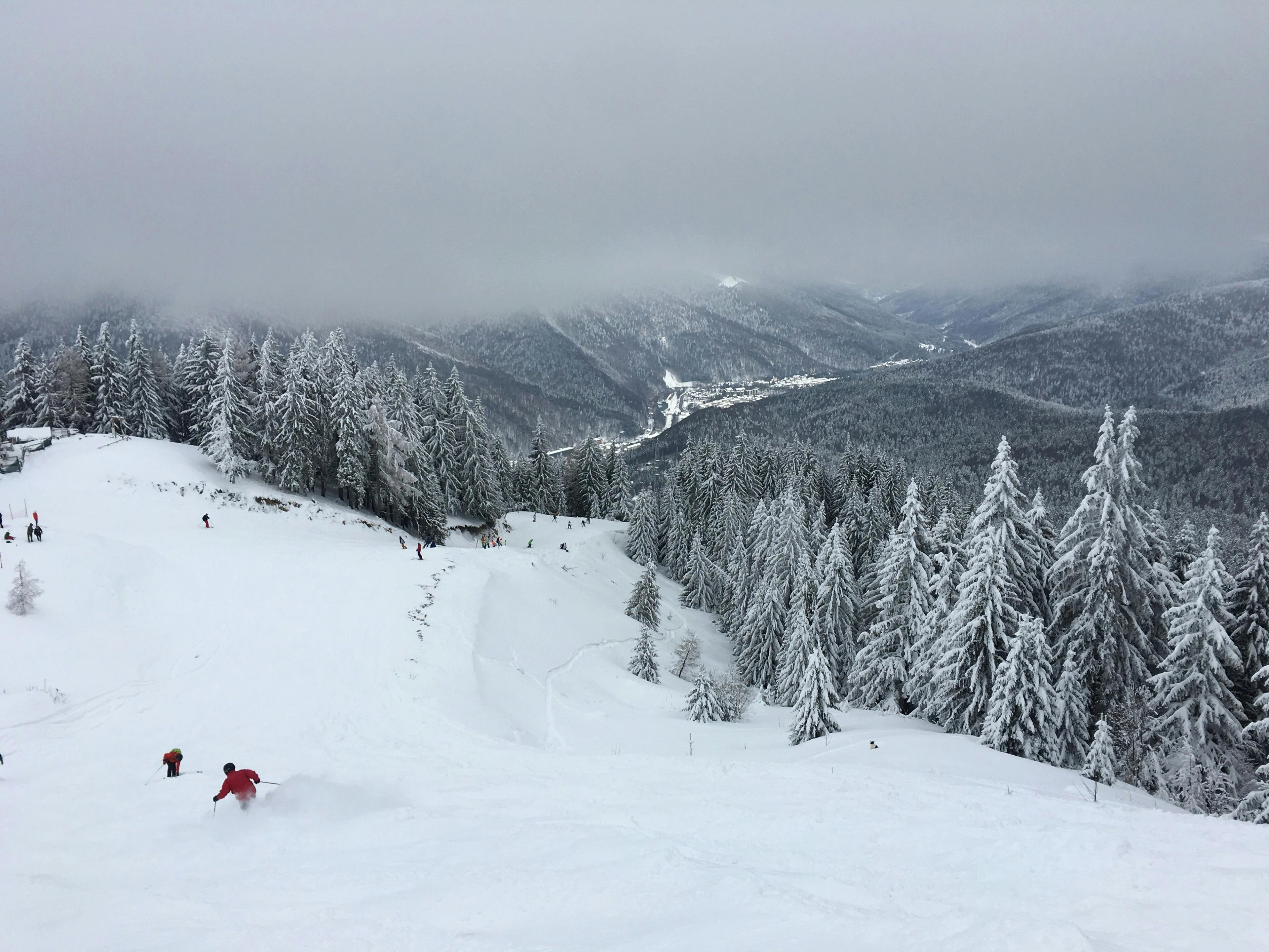 Schi în Transilvania - Păltiniș