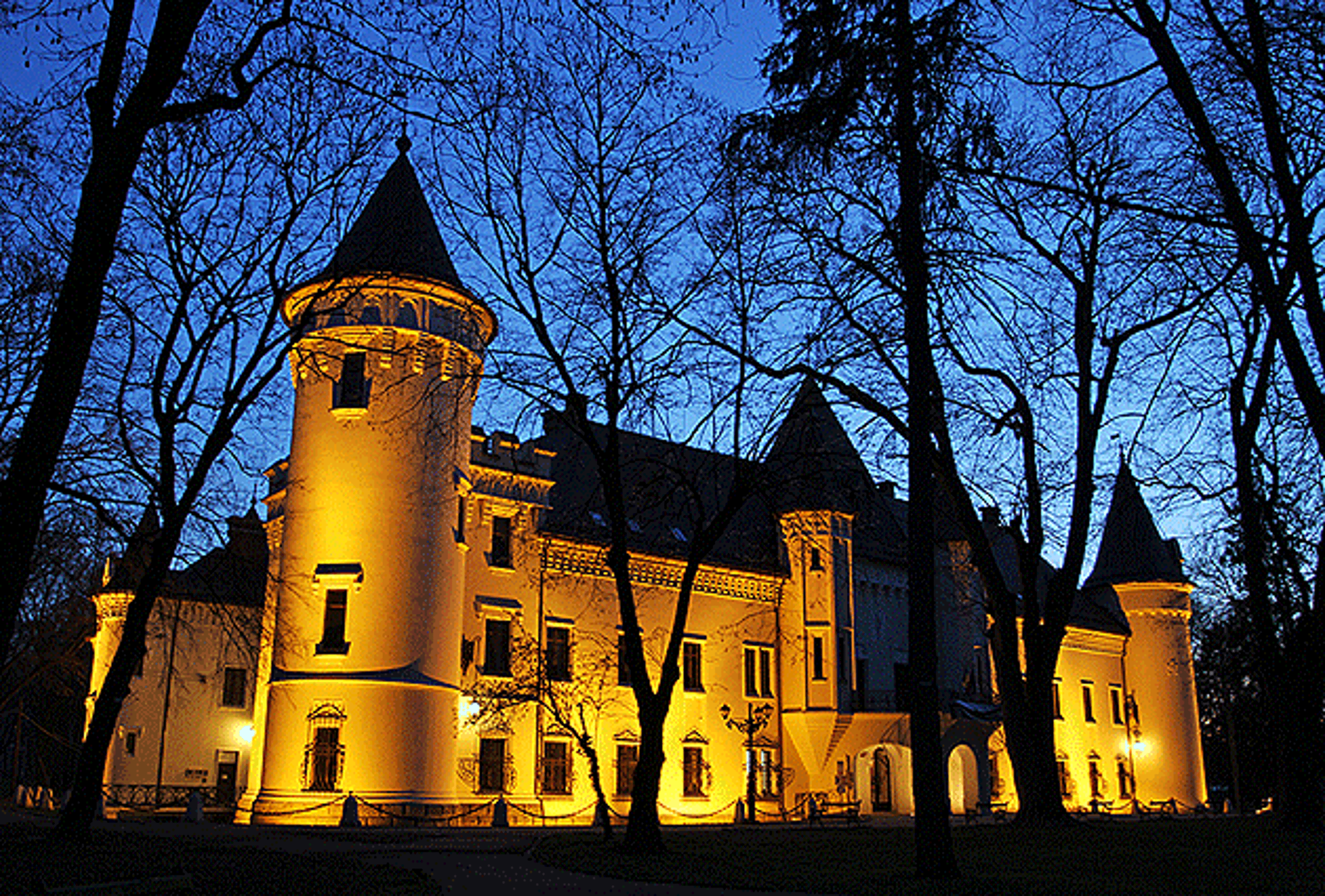 Castelul Karolyi din Carei