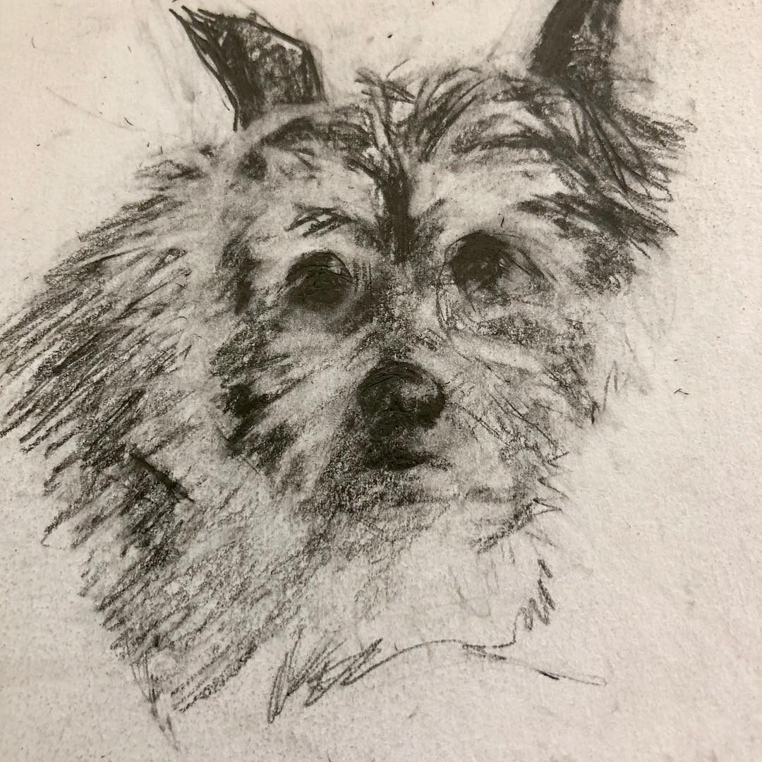 Drawing No. 7, 'Visiting friends.  I sketched their dog this morning.', posted OCT 7, 2018