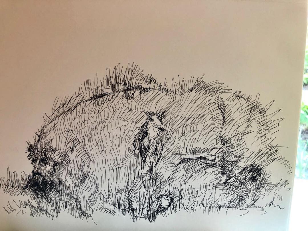 Drawing No. 30, 'Doodle with things emerging', posted MAY 12, 2019