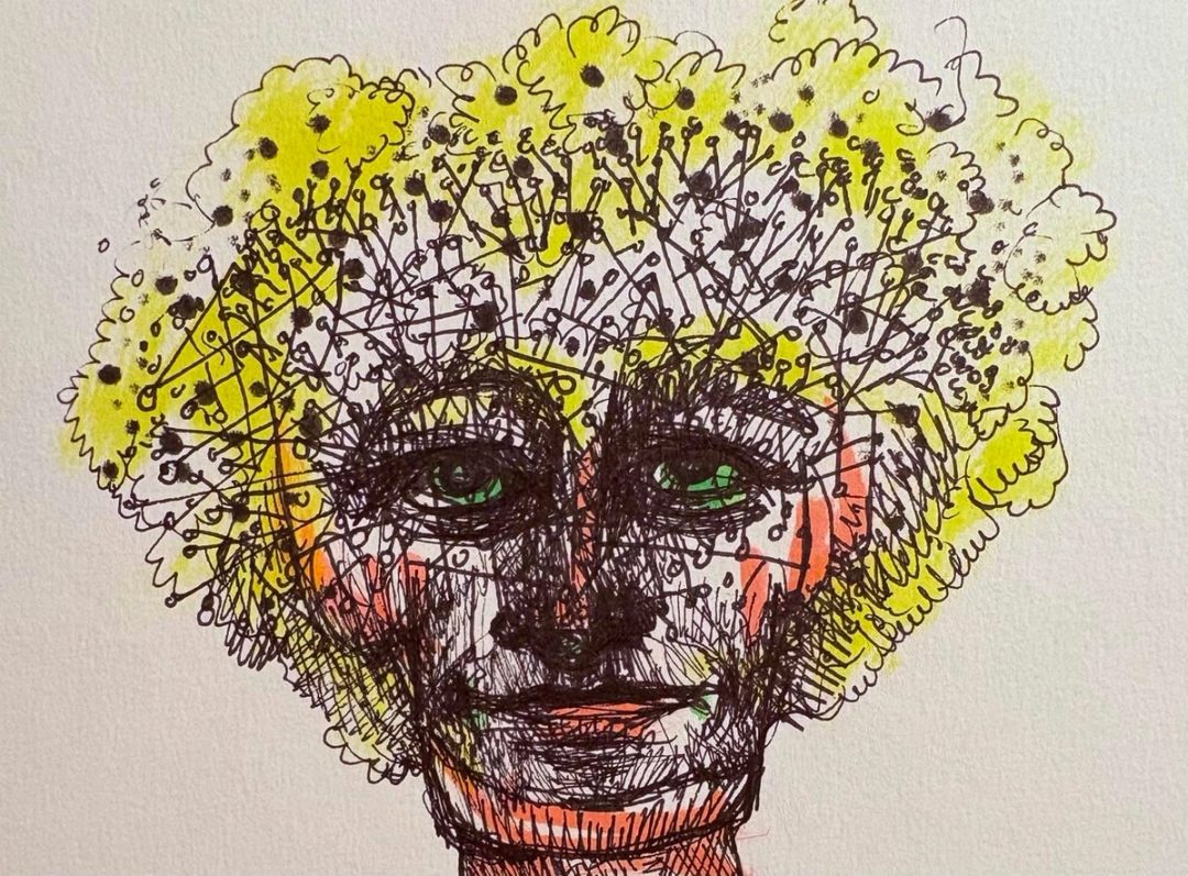 Drawing No. 2,627, 'Lavinia was proud of her newly-mapped brain.', posted JUN 29, 2026