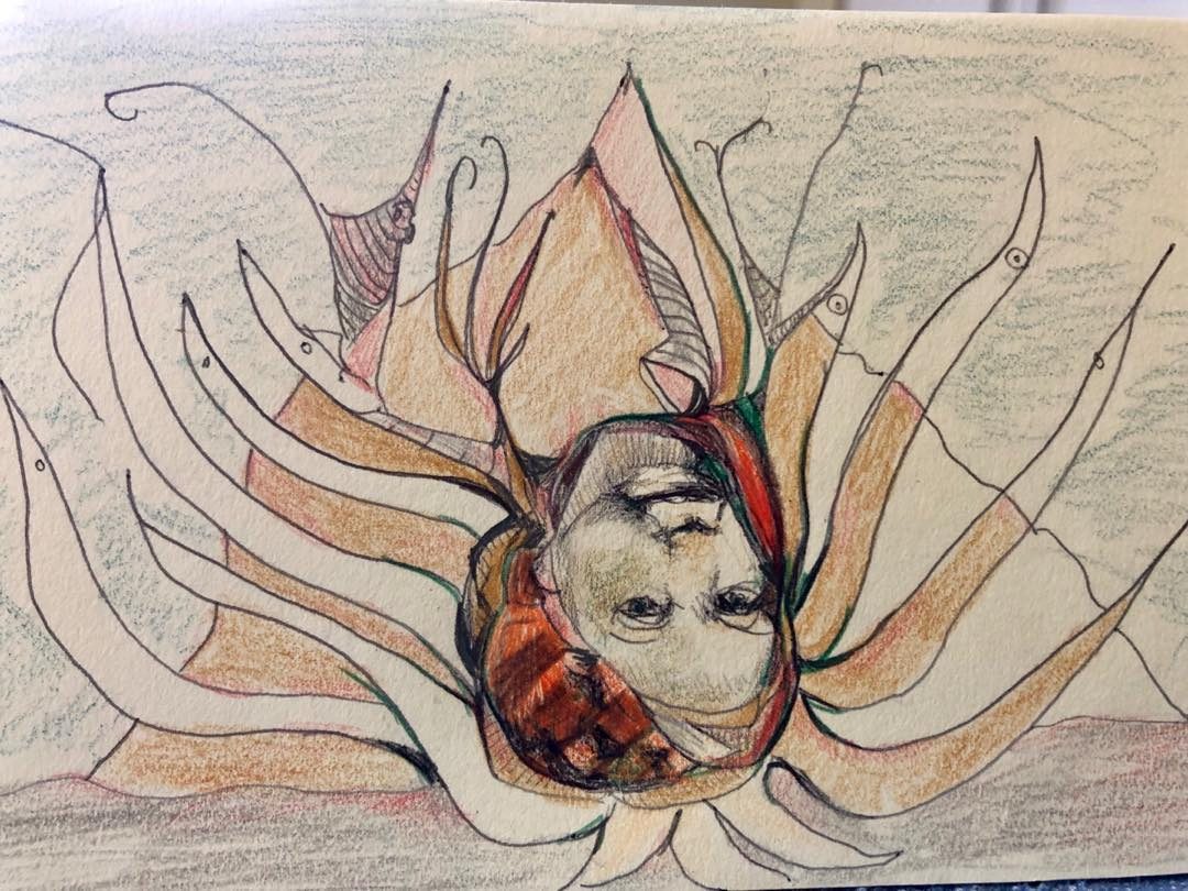 Drawing No. 49, 'Under scrutiny', posted SEP 3, 2019