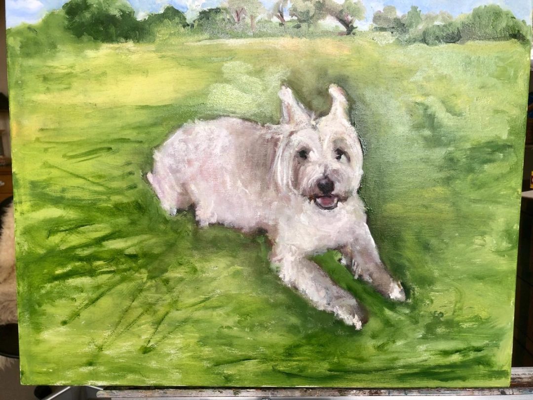 Drawing No. 305, 'Latest pet portrait: a sweet Westie named Rascal.', posted JUN 29, 2020