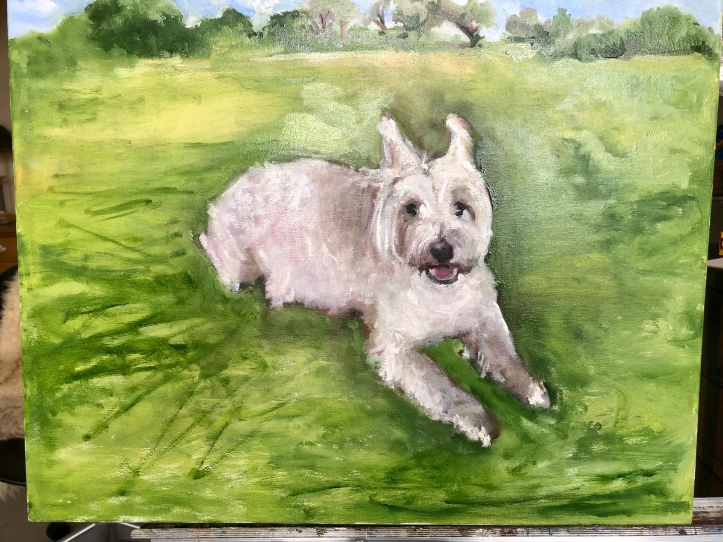 Drawing No. 305, 'Latest pet portrait: a sweet Westie named Rascal.', posted JUN 29, 2020