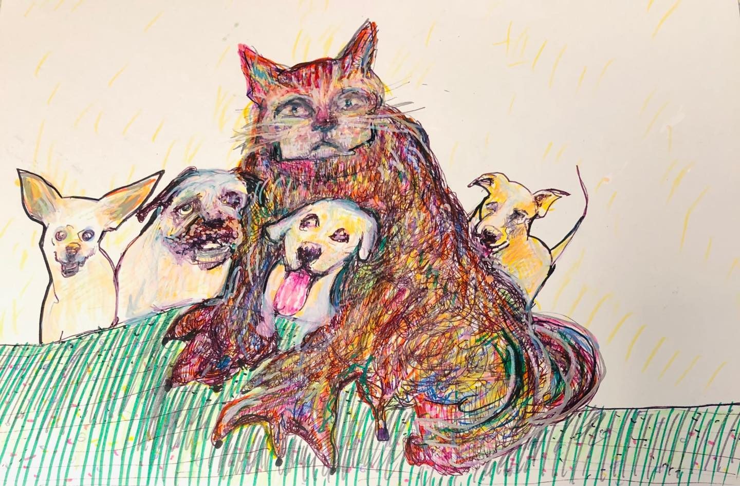 Drawing No. 456, 'The shelter pets felt better when Joseph, the cat of many colors appeared.', posted NOV 21, 2020