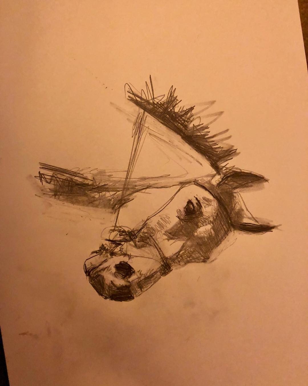 Drawing No. 6, 'Quick sketch of a friend’s friend’s horse😄', posted OCT 6, 2018