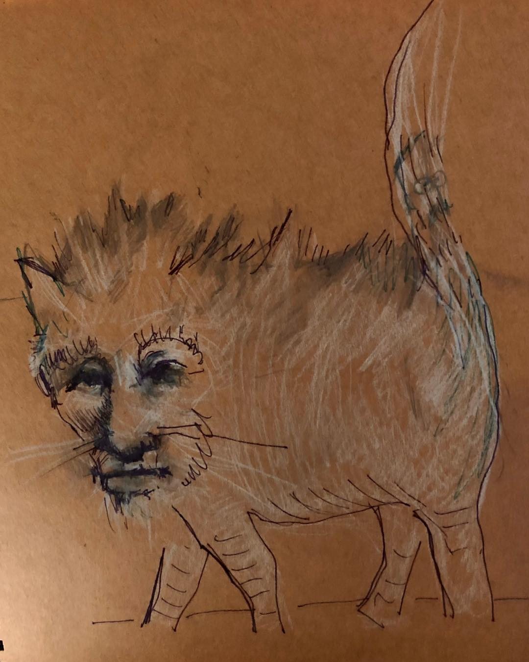 Drawing No. 35, 'Cross between steve and his cat', posted JUN 15, 2019