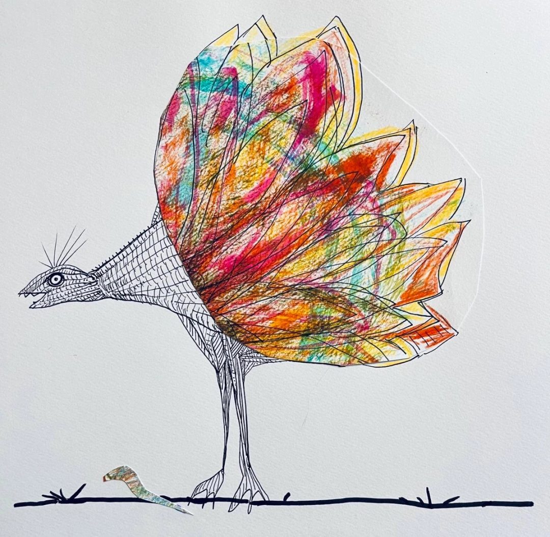 Drawing No. 1,627, 'For Ryan and Daniel, it was all about the plumage.', posted DEC 21, 2023
