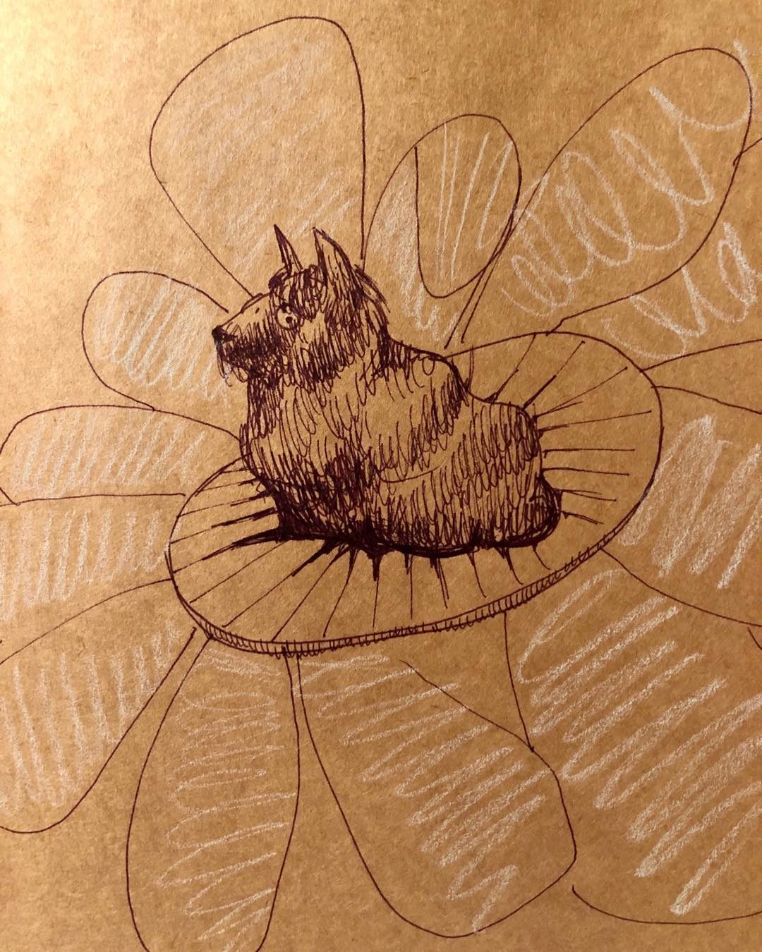 Drawing No. 36, 'Dog flower', posted JUN 15, 2019
