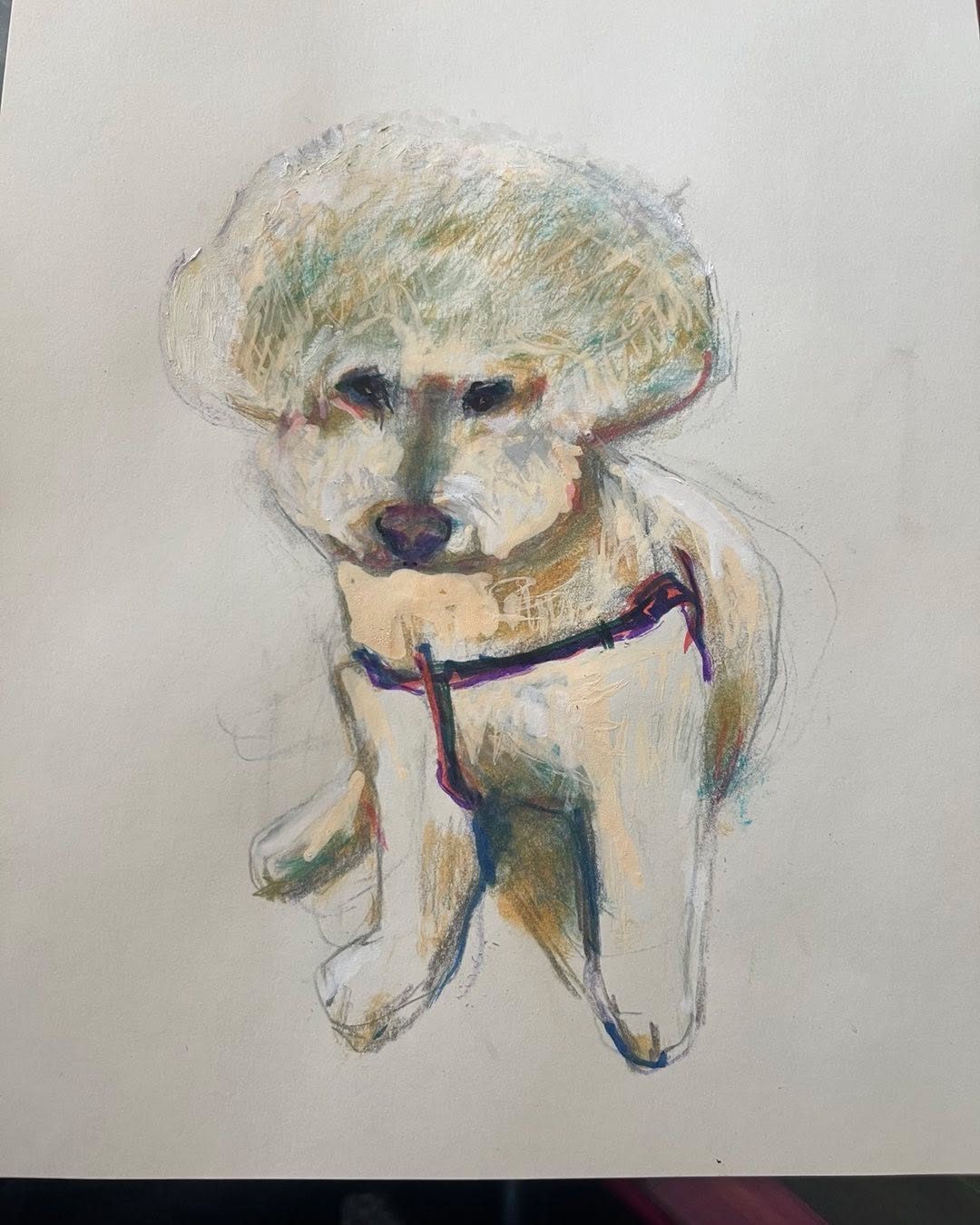 Drawing No. 1,721, 'A sketch I did yesterday of Allie, my neighbor.', posted MAR 21, 2024