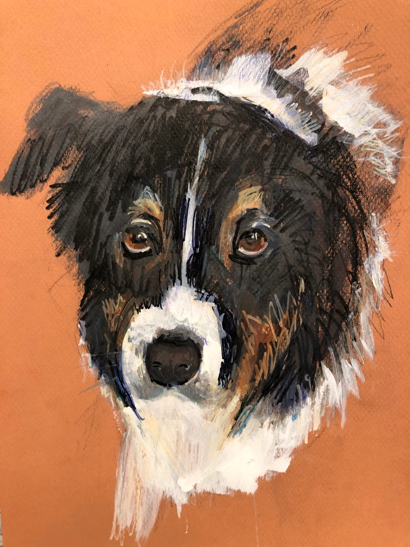A black, white and tan shepherd dog looking straight out, painted on an orange ground.