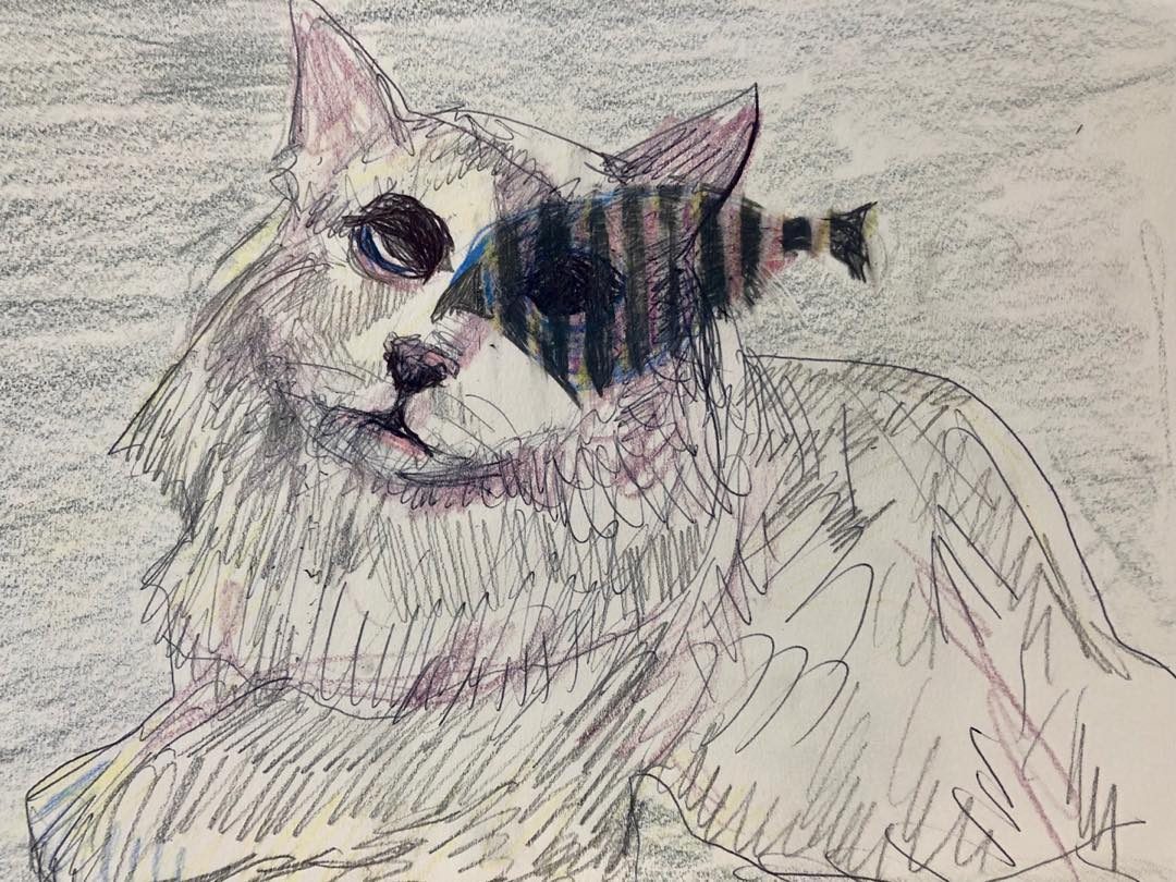 Drawing No. 73, 'The fisheye', posted SEP 18, 2019