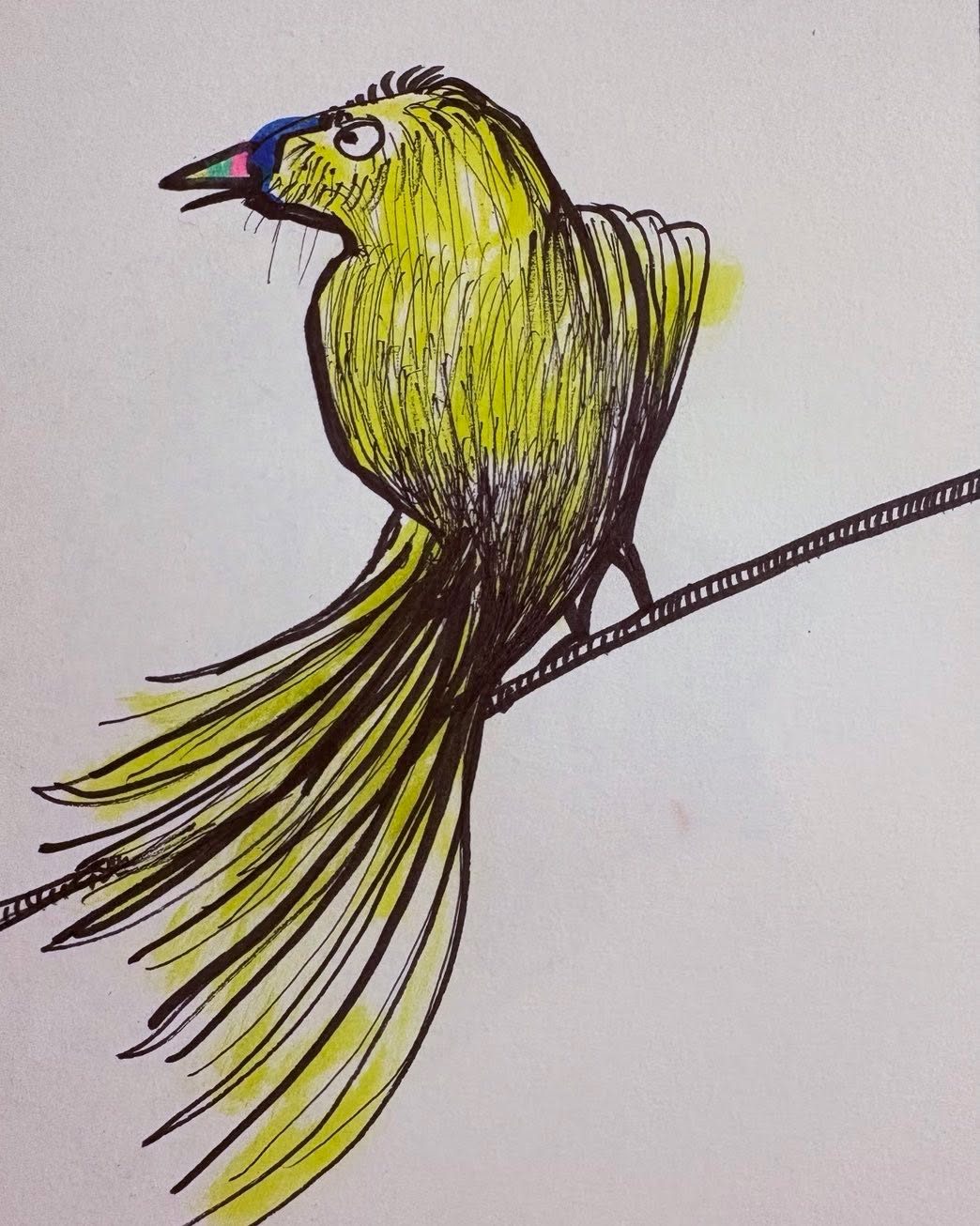 Drawing No. 2,629, 'Hardly anybody recognized Therese, a toucan, after her cosmetic surgery.', posted JUL 1, 2026