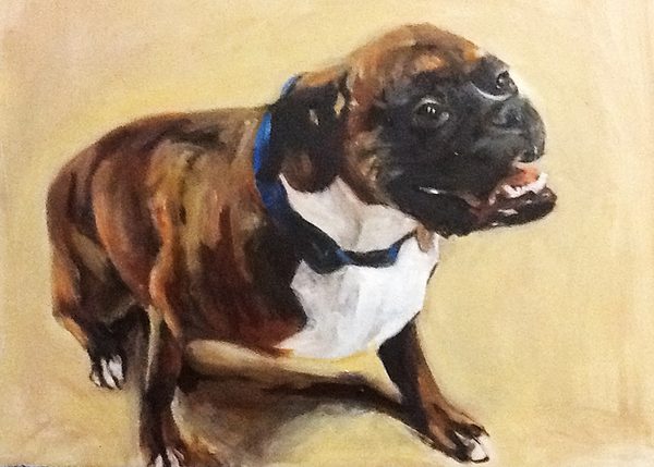 Tyson, a portrait by Jane Hart.
