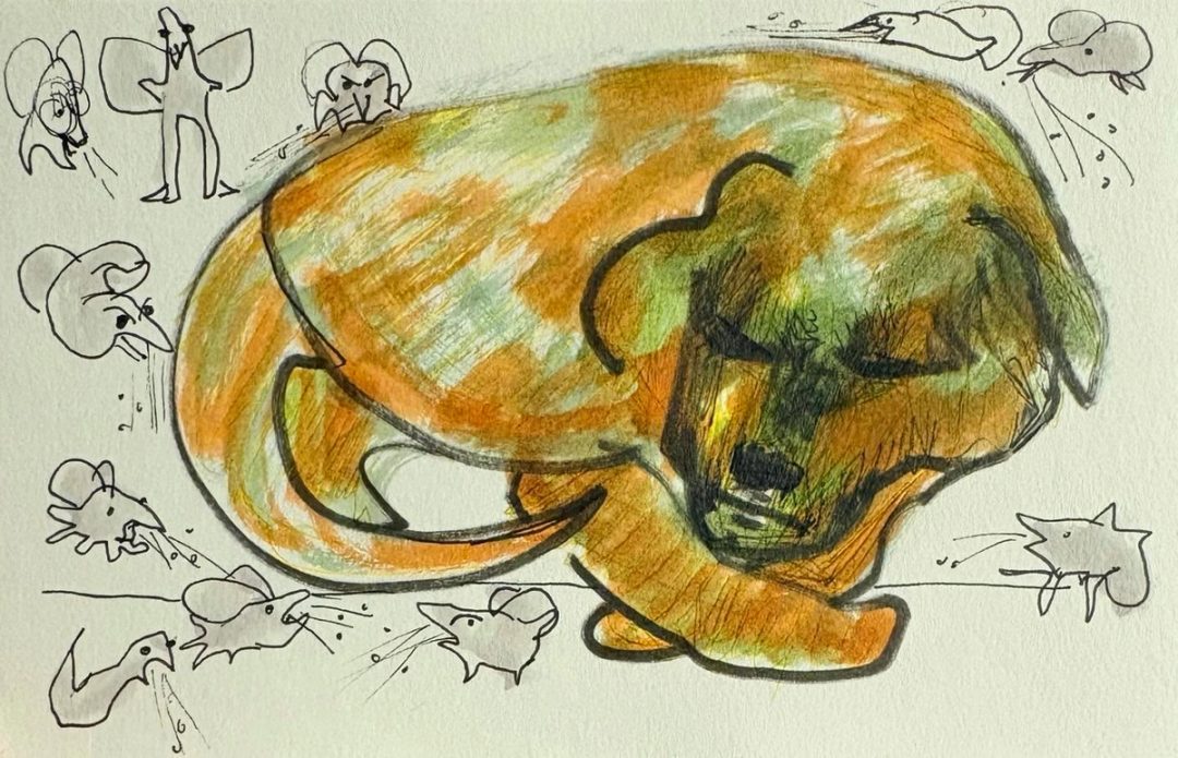 Drawing No. 2,445, 'Buster dreamed that fleas and ticks found him inedible.', posted JAN 27, 2026