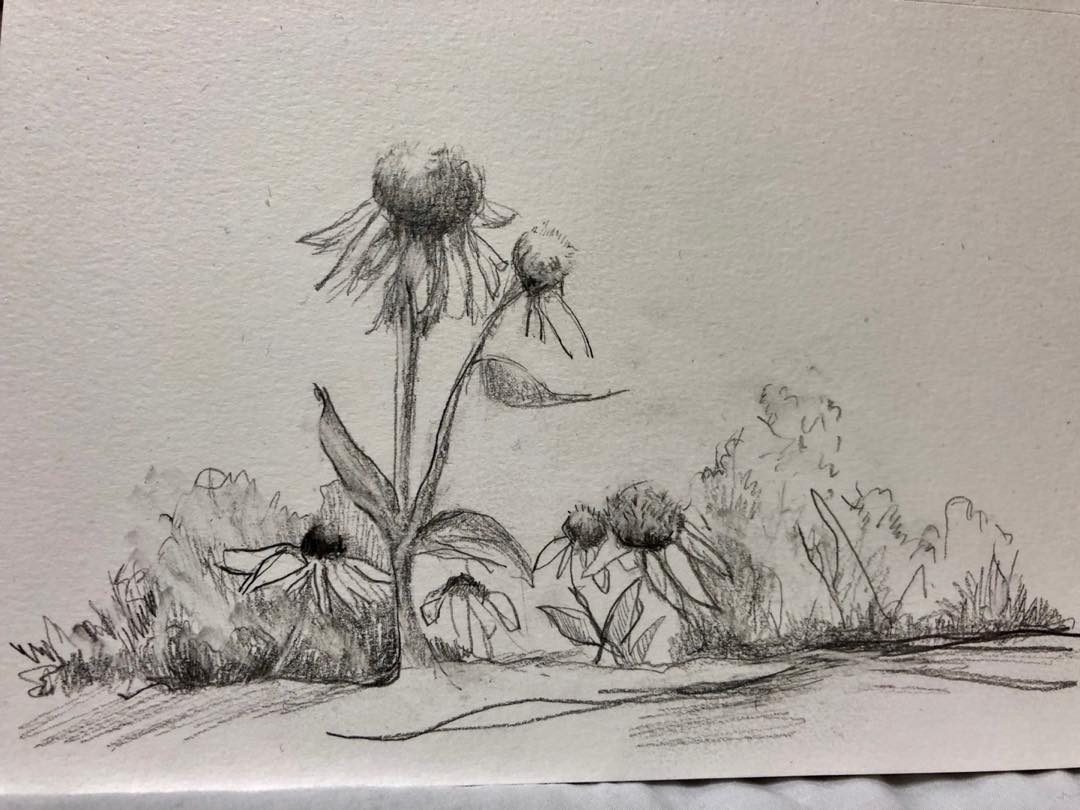 Drawing No. 40, 'End of summer', posted AUG 27, 2019
